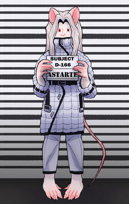 Fullbody, might draw list